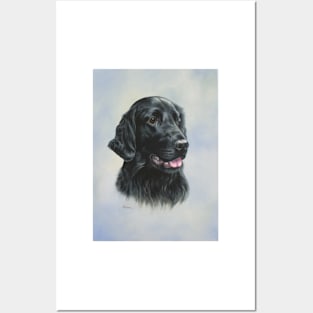 Flat-Coated Retriever - black Posters and Art